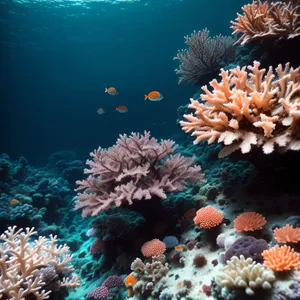 Colorful Coral Reef in Exotic Underwater Paradise