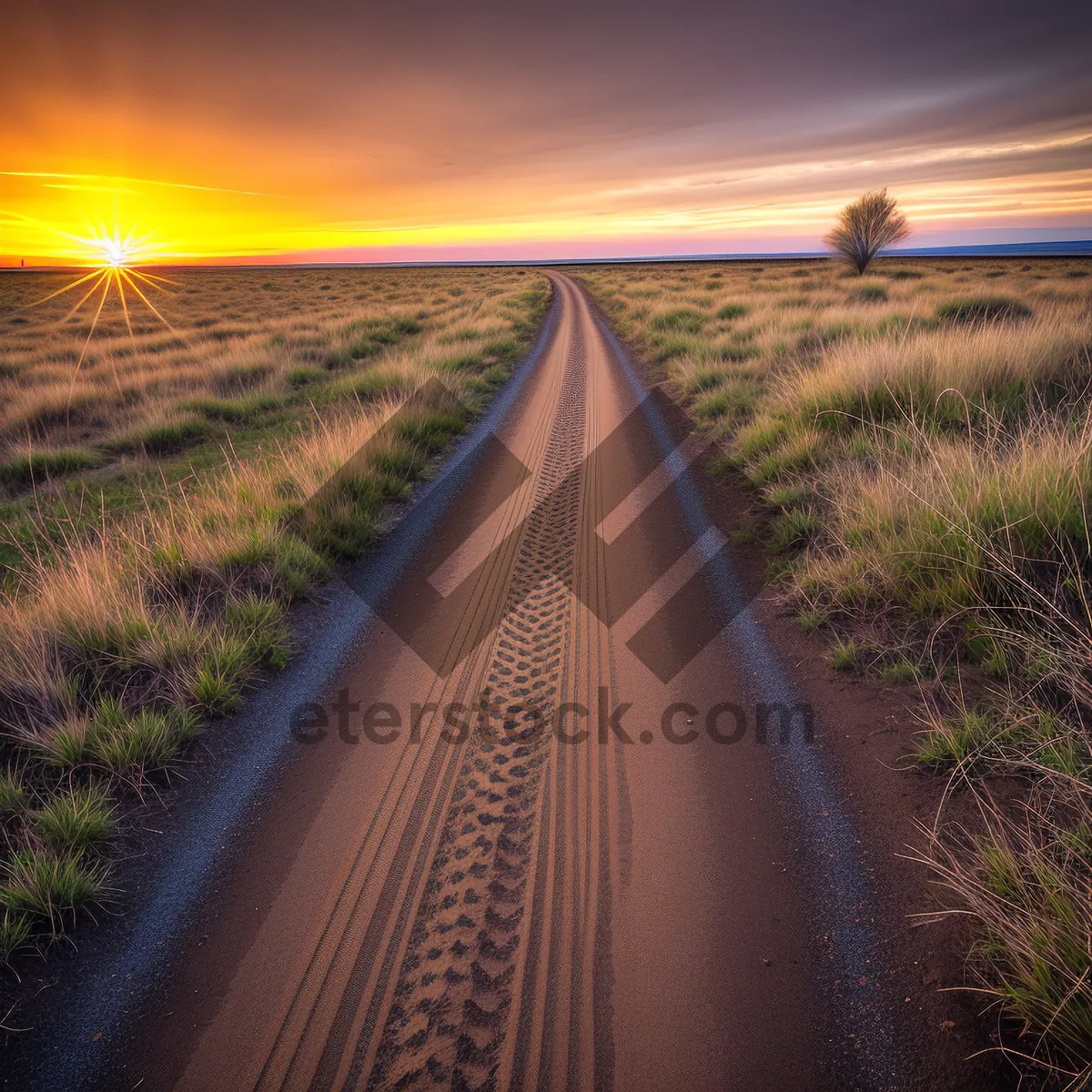 Picture of Serene Pathway through Rolling Countryside