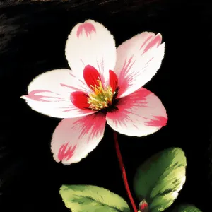 Vibrant Pink Blossom in Garden