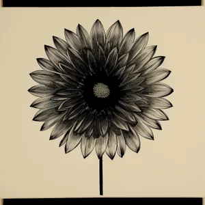 Sunflower Art: Vibrant Floral Graphic Design