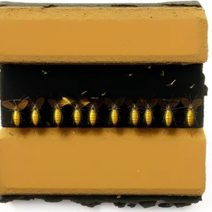 Yellow Glass Building with Honeycomb Bar