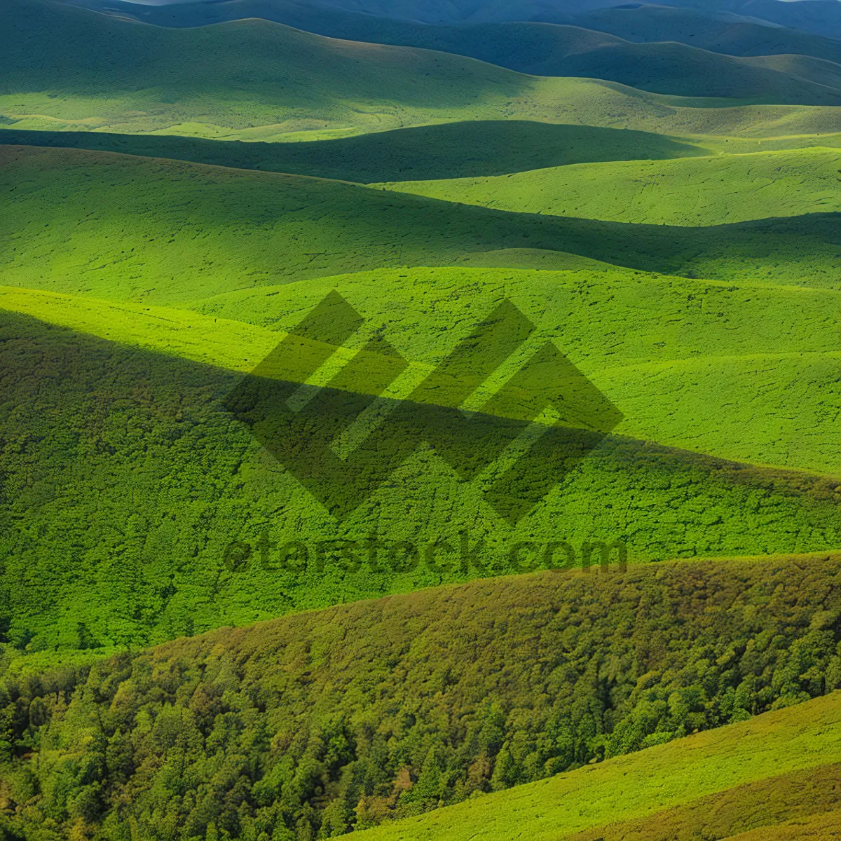 Picture of Idyllic Rural Farm Landscape Under Sunny Sky