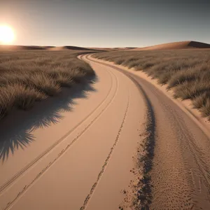 Serenity in the Sands: A Mesmerizing Desert Sunset