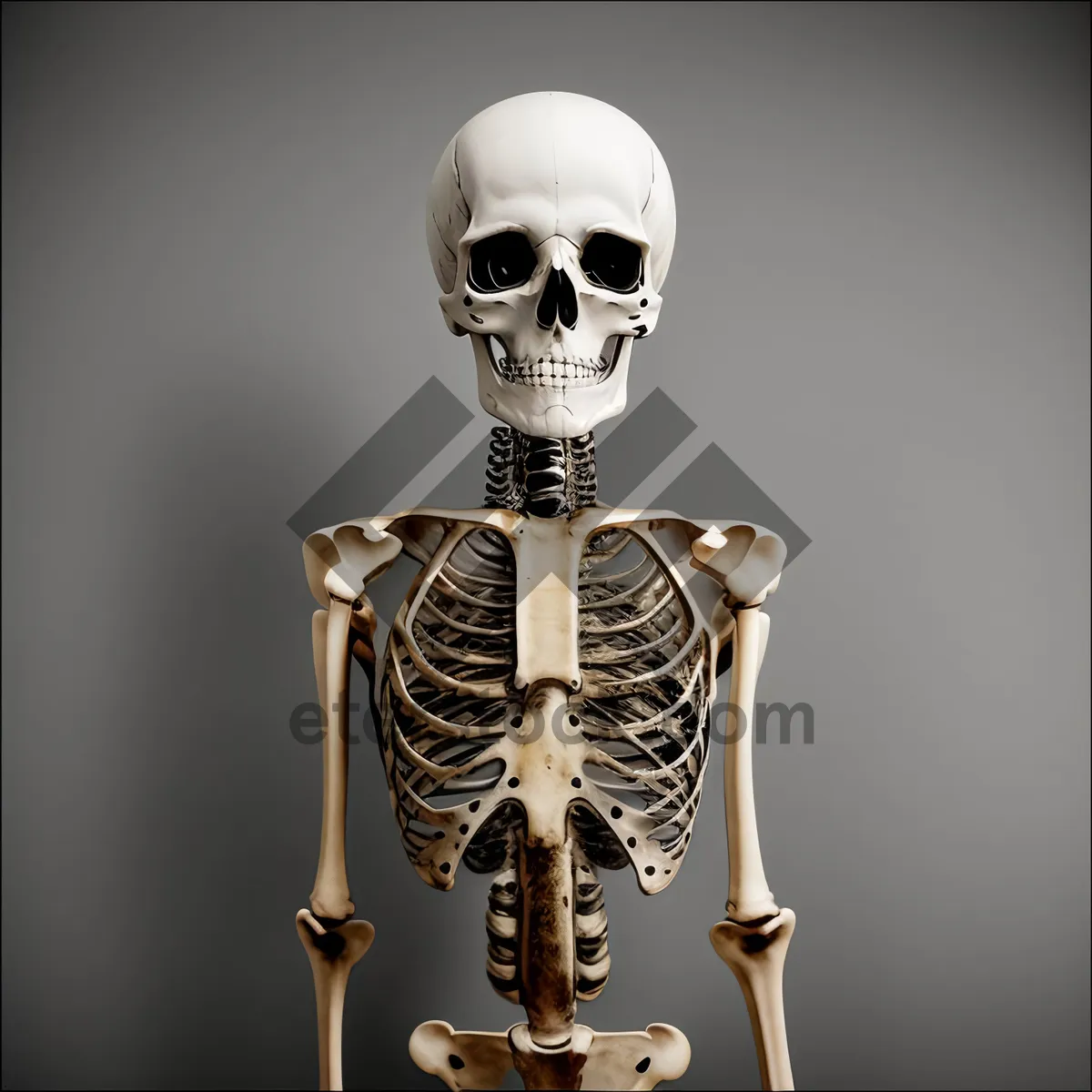 Picture of Spooky Skeleton Figure in Terrifying Pose