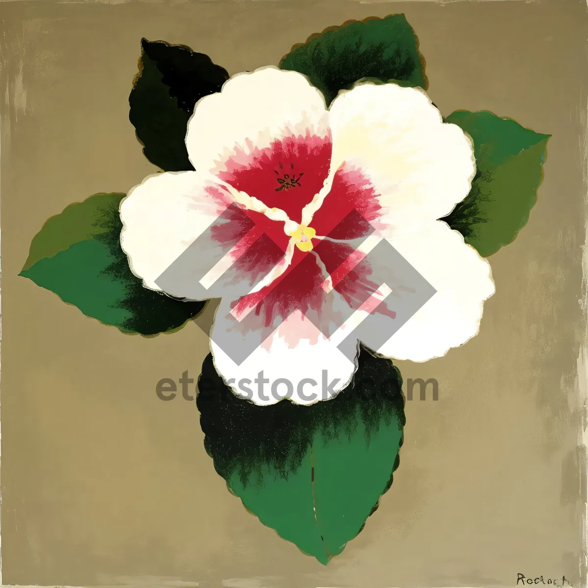 Picture of Fresh Pink Hibiscus Blossom - Vibrant Floral Delight