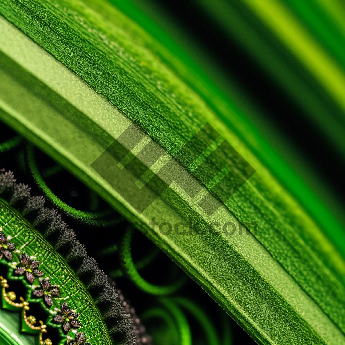 Picture of Vibrant Agave Leaf: A Close-Up of Nature's Growth