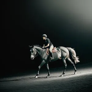 Silhouette of Horse and Rider at Desert Sunset