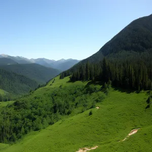 Majestic Alps: Tranquil Landscape in Summer