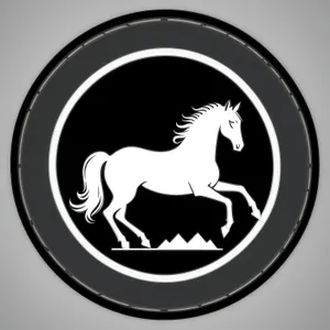 Shiny black round button icon with elegant metallic curve