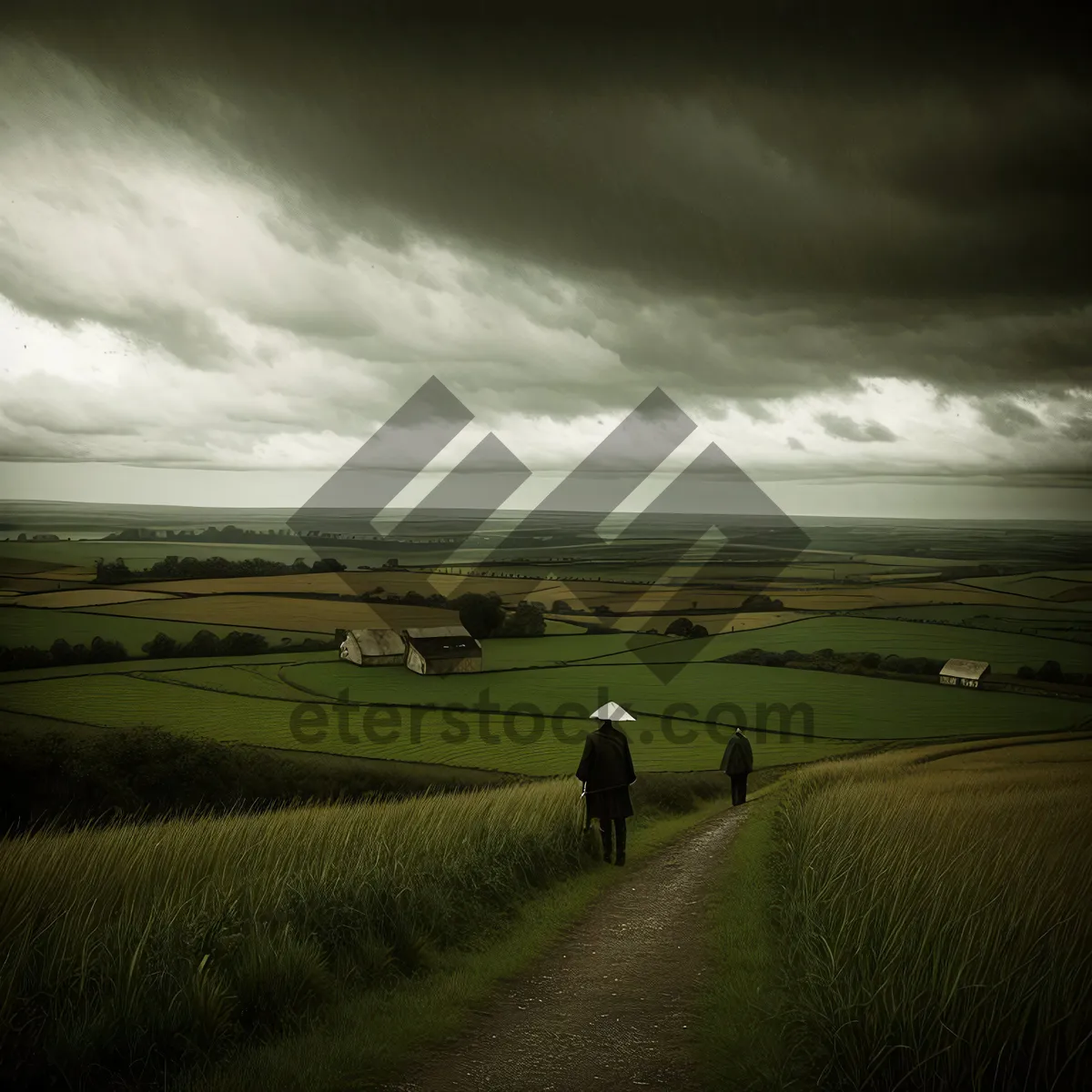 Picture of Vast Sky Over Rolling Green Landscape