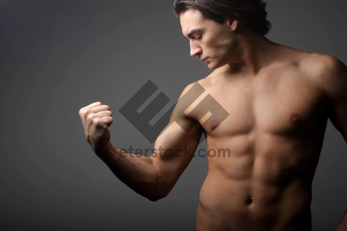 Picture of Muscular male model posing shirtless in studio portrait