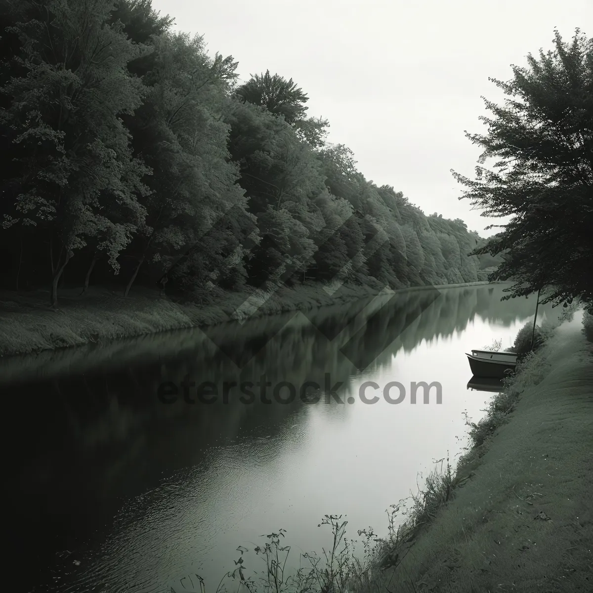 Picture of Scenic Lake with Trees and Reflection