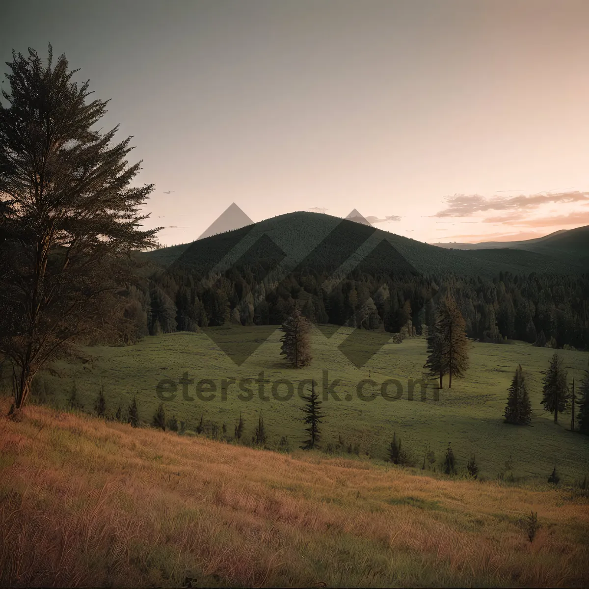 Picture of Picturesque Highland Mountain Landscape with Tree, Sky, and Grass