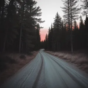 Winter Wonderland Highway Through the Forest