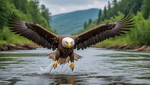 Majestic bald eagle soaring with outstretched wings.