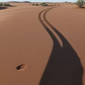 Sandy Adventure: Exploring Morocco's Rolling Dunes