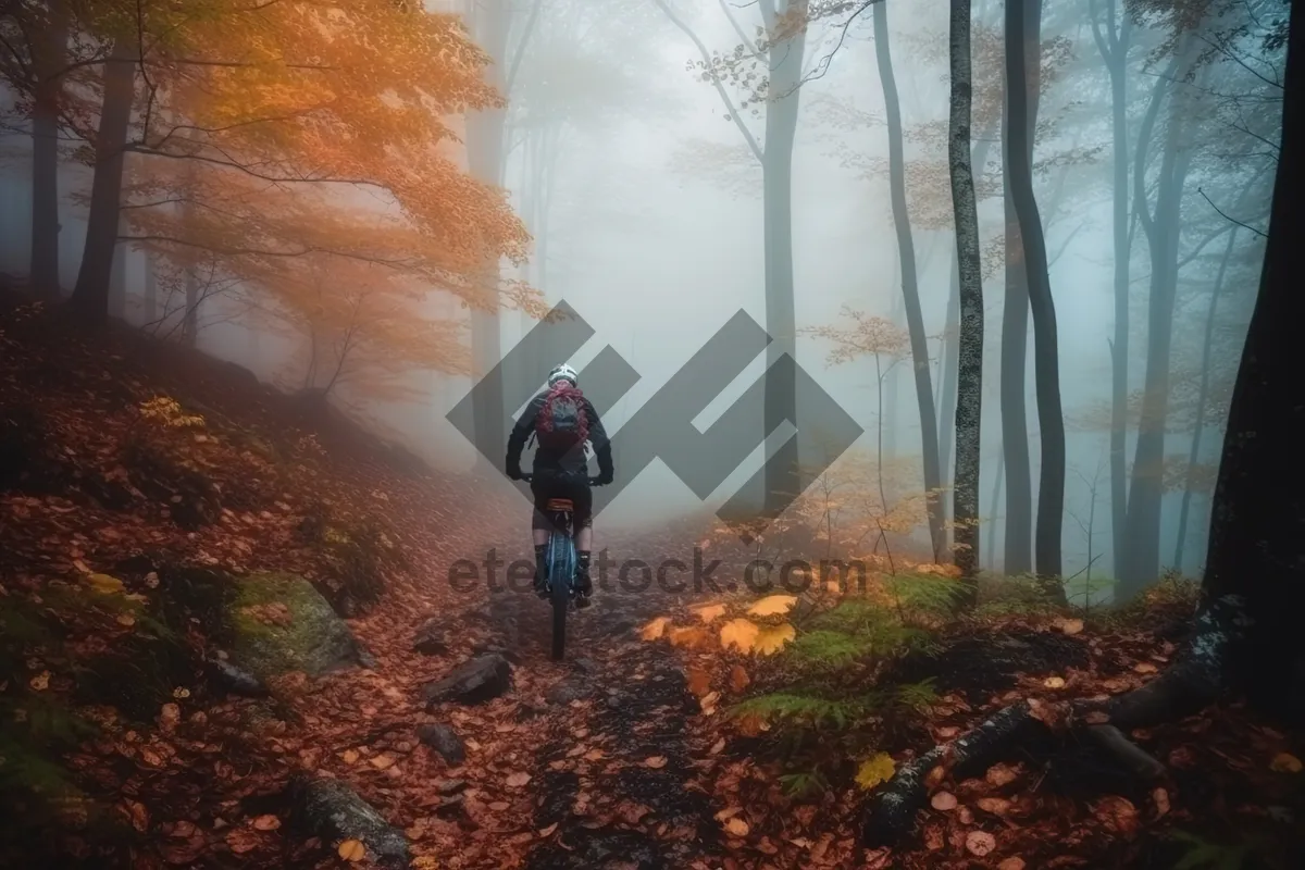 Picture of Solo hiker exploring rugged mountain terrain on bike.