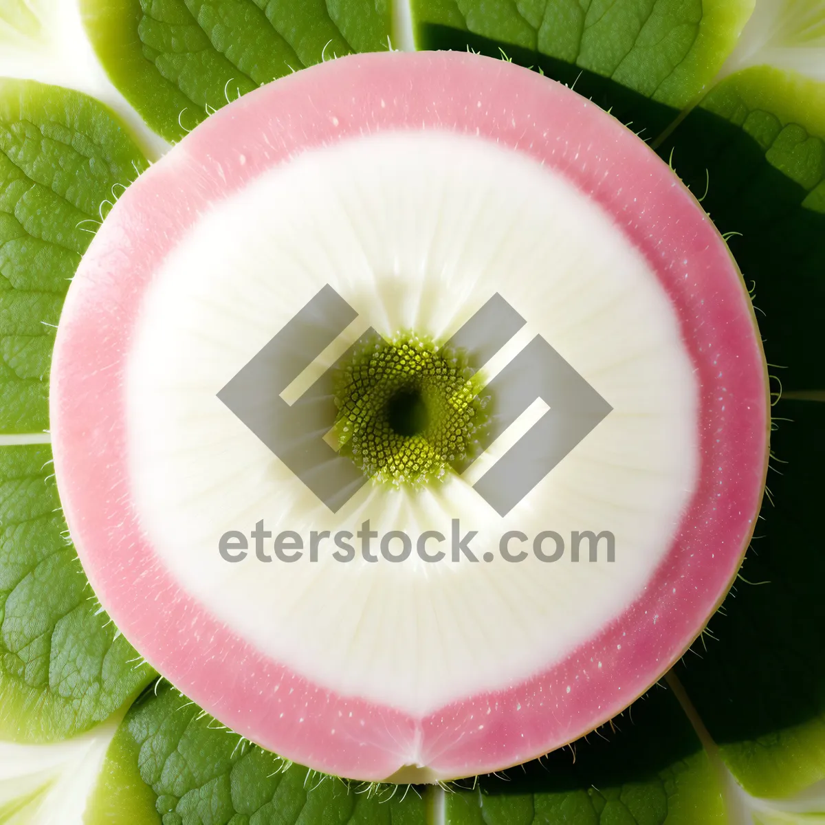 Picture of Delicious Fruit Salad with Juicy Kiwi and Apple Slices