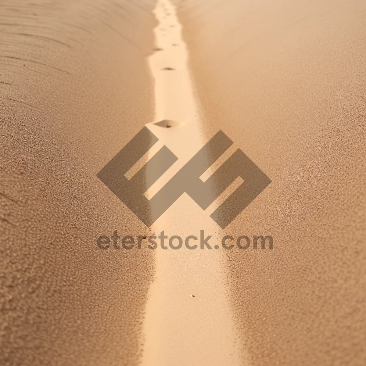 Picture of Needle in Sand Dunes