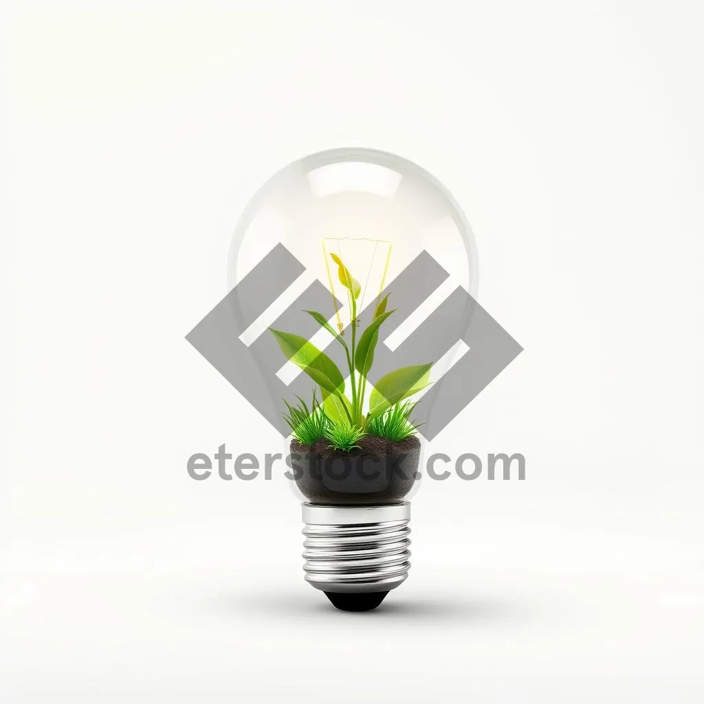 Picture of Light bulb representing energy and eco-friendly ideas