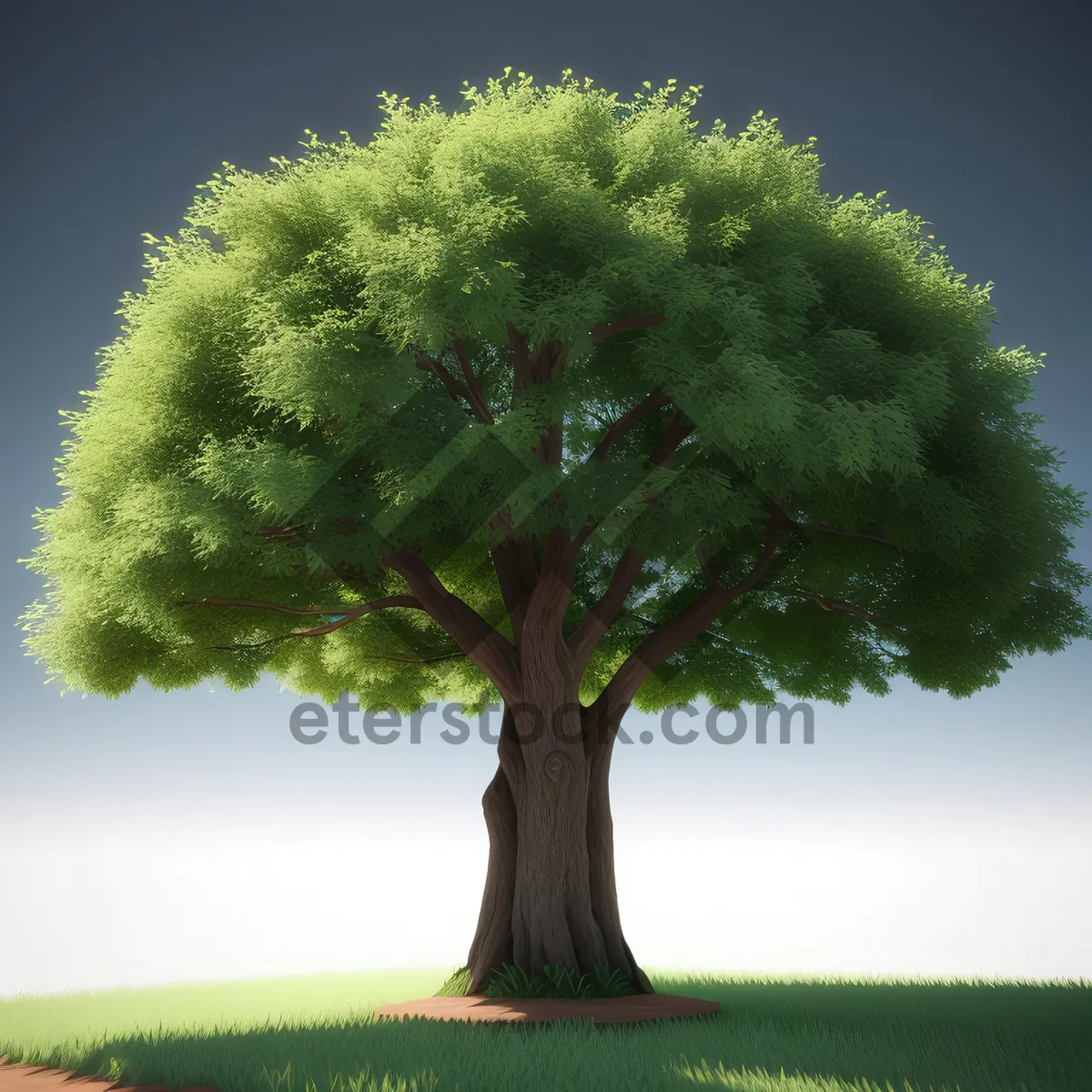 Picture of Serene Oak Tree in Beautiful Countryside Landscape