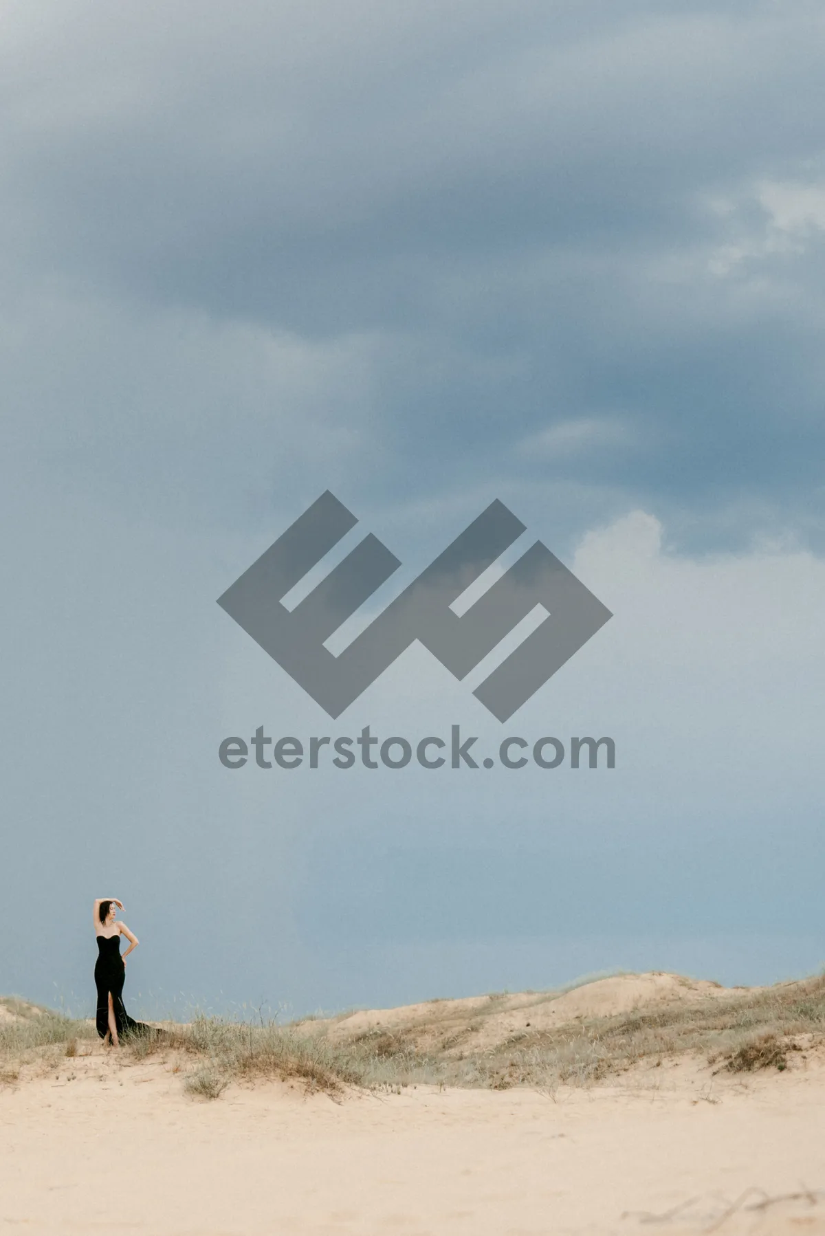 Picture of Desert Dune Adventure with Ostrich Bird in Sky