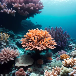 Tropical Coral Reef Life in Sunlit Depths