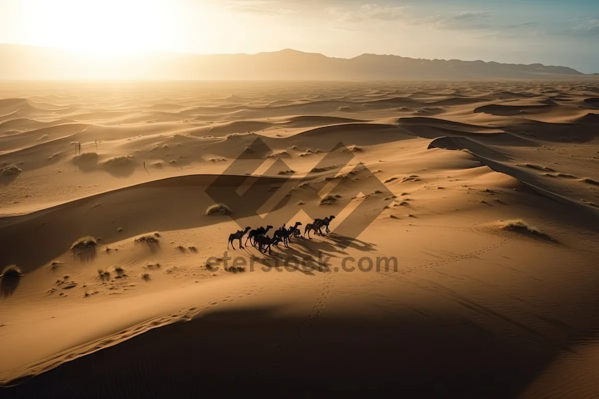 Picture of Golden Hour Beach Sunset Landscape Travel Photography