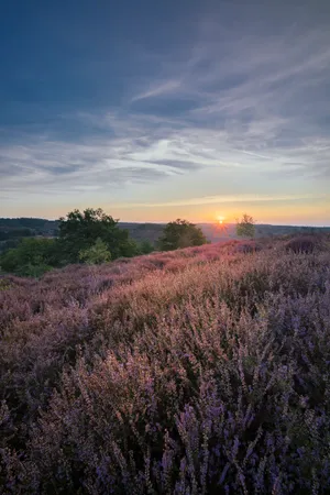 Autumn Sun over Meadow in Countryside Landscape