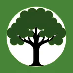 Oak Leaf Silhouette Graphic Design Icon