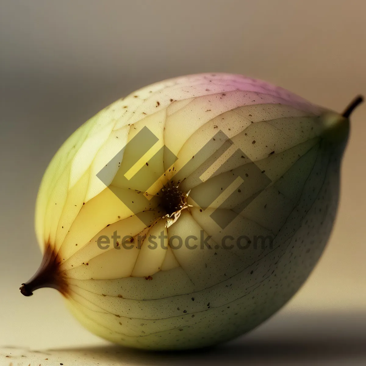 Picture of Fresh Organic Onion Bulb Harvested for Vegetarian Food