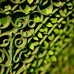 Artistic Plant Patterned Textured Wallpaper Design