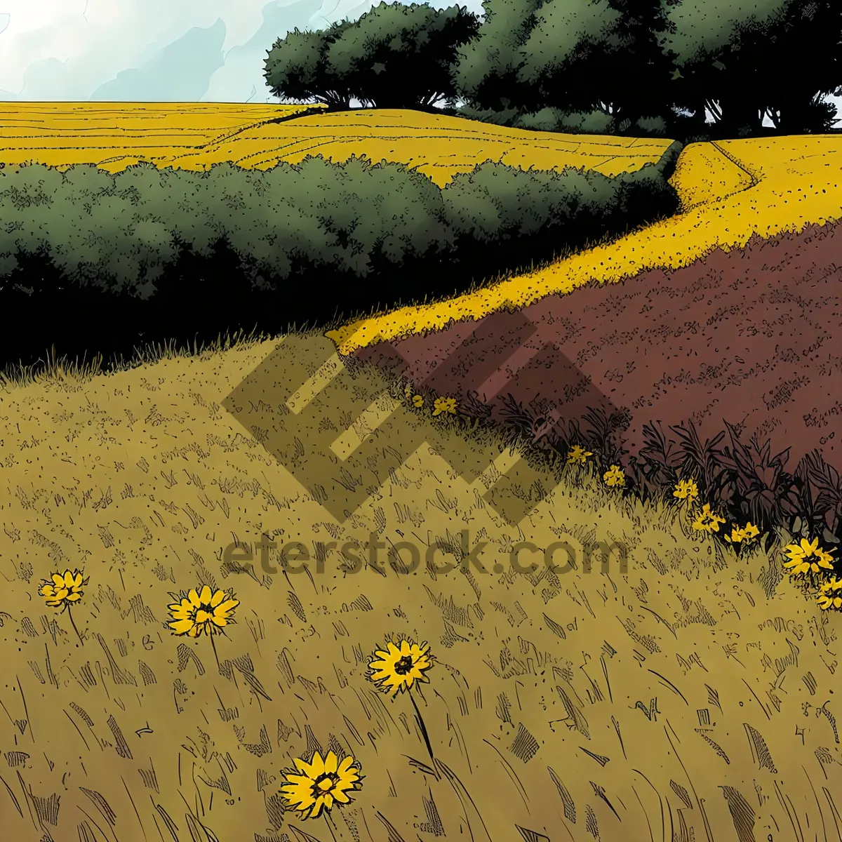 Picture of Vivid Rapeseed Field in Countryside Bliss