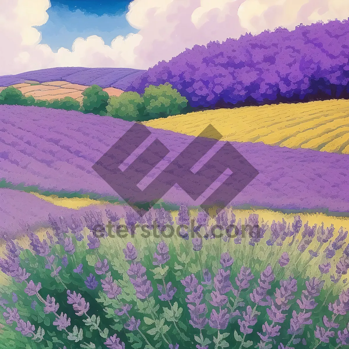 Picture of Blooming Lavender Shrub in Colorful Meadow