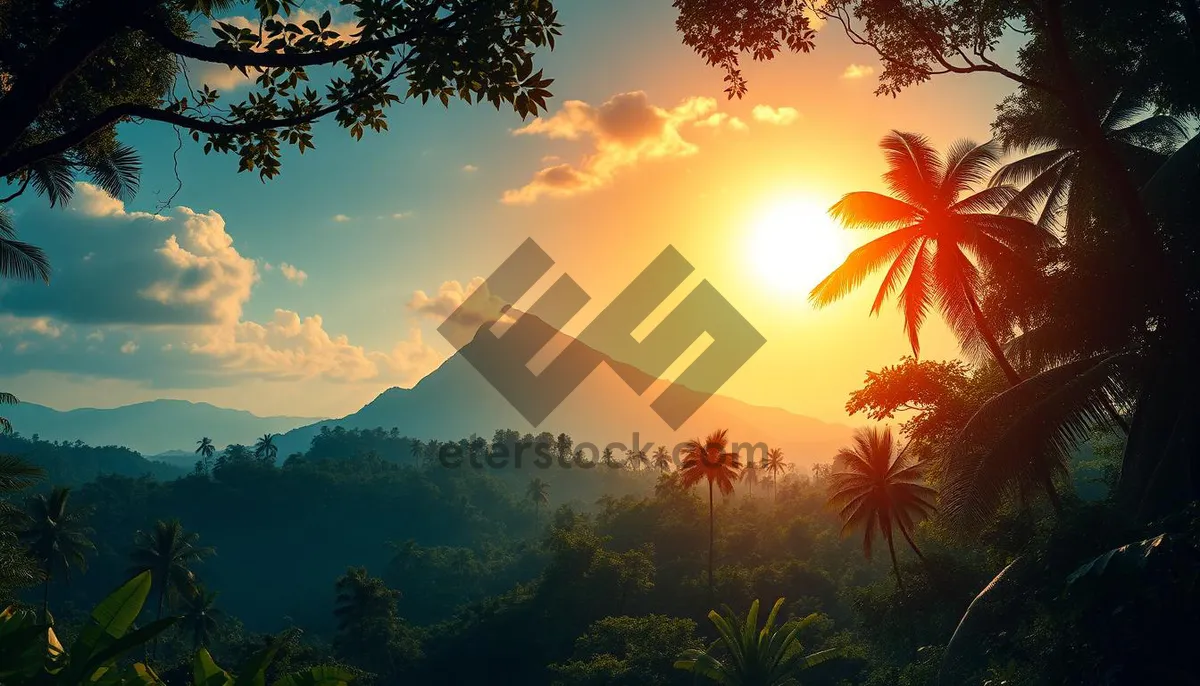 Picture of Tropical sunset over palm tree on beach.