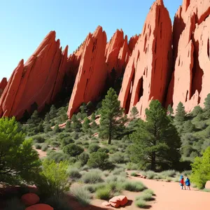 Vibrant Coral Tree amidst Majestic Canyon Landscape