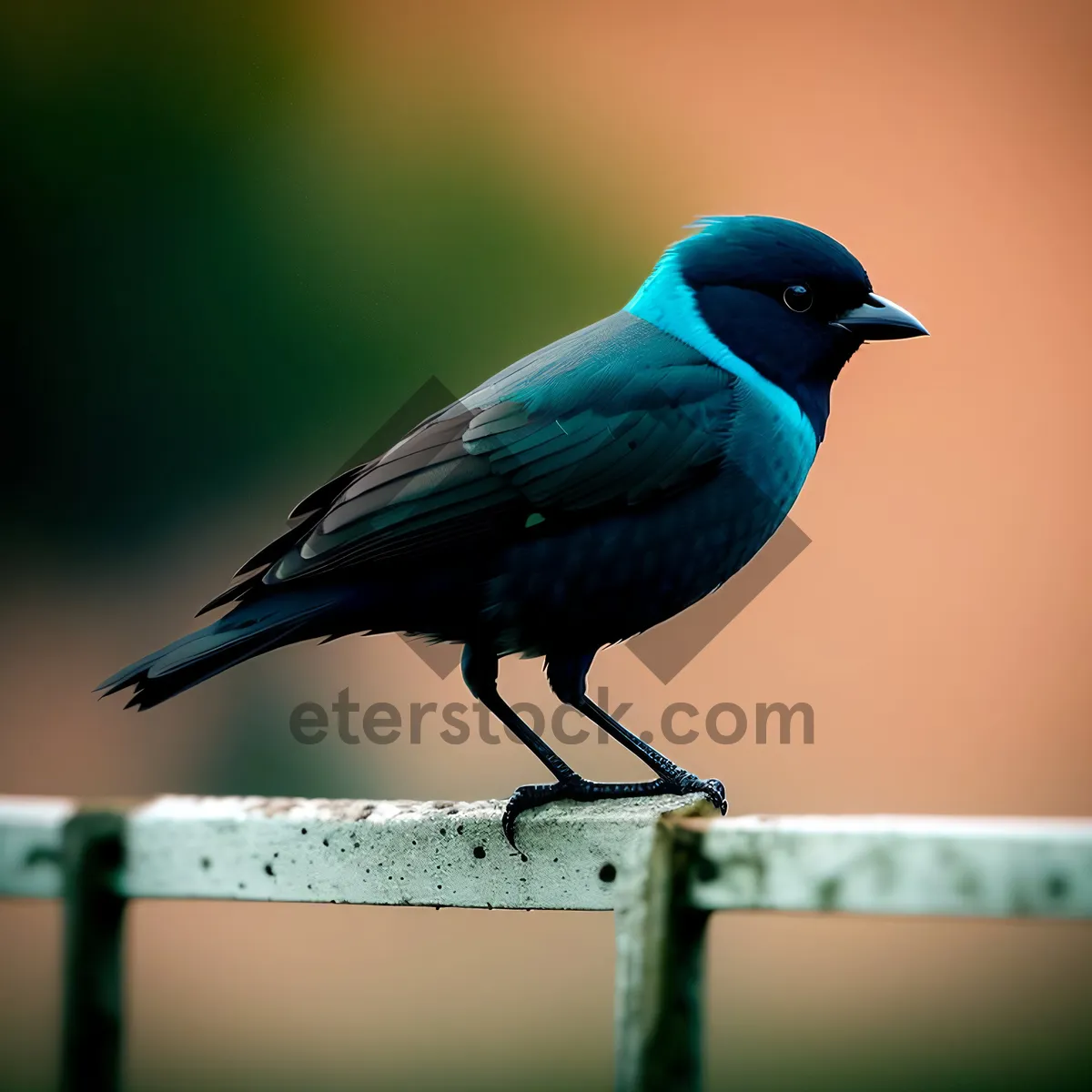 Picture of Vibrant Avian Glory: Majestic Magpie in Nature's Embrace