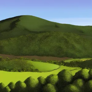 Highland Farm Landscape with Tea Fields and Scenic Hill