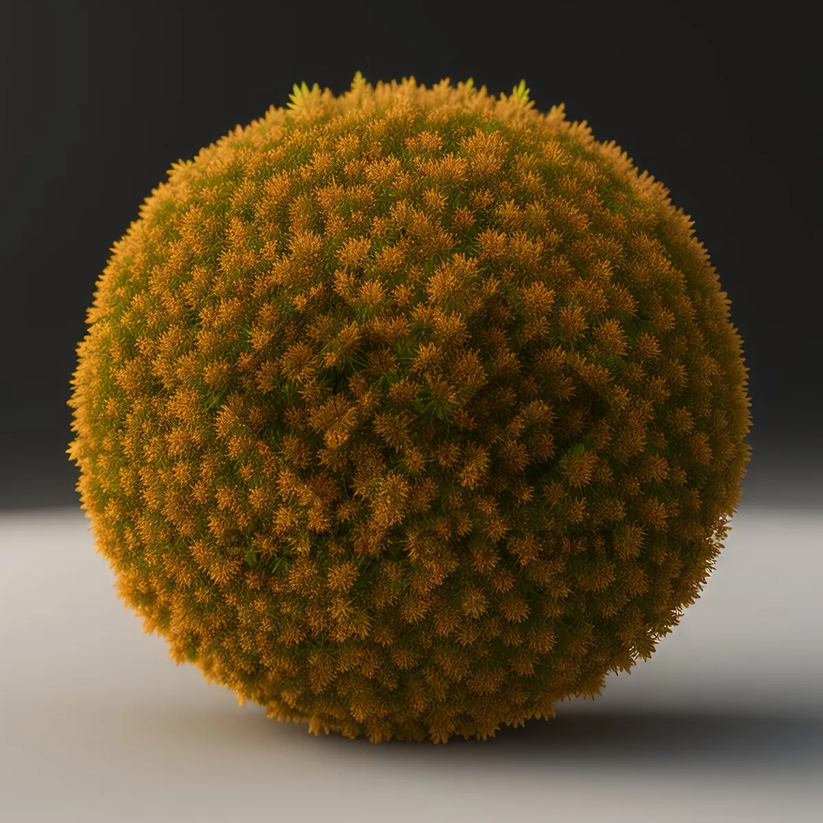 Picture of Litchi Fruit - Closeup of Edible Pollen-rich Produce