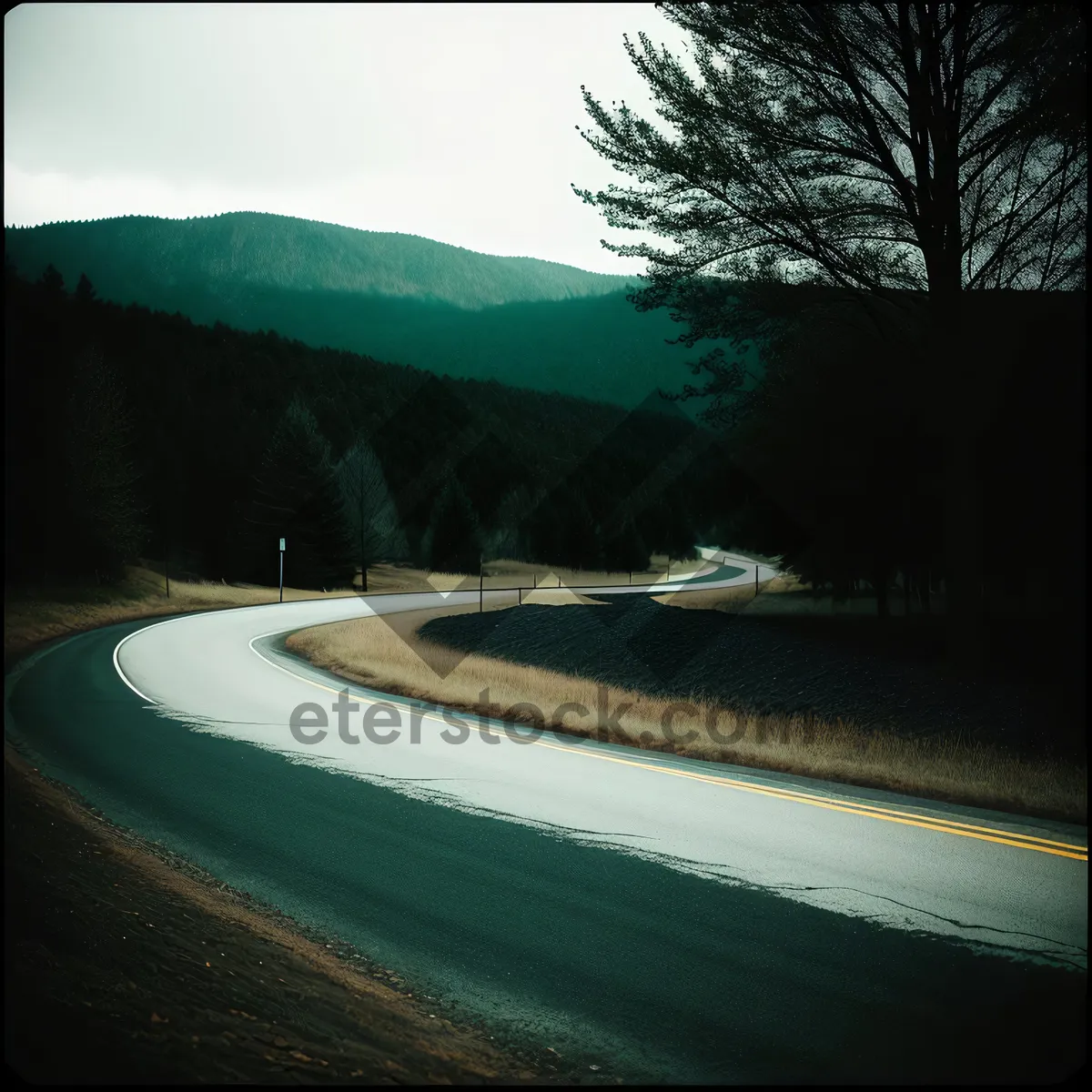 Picture of Night Drive on Summer Highway with Sky Reflection