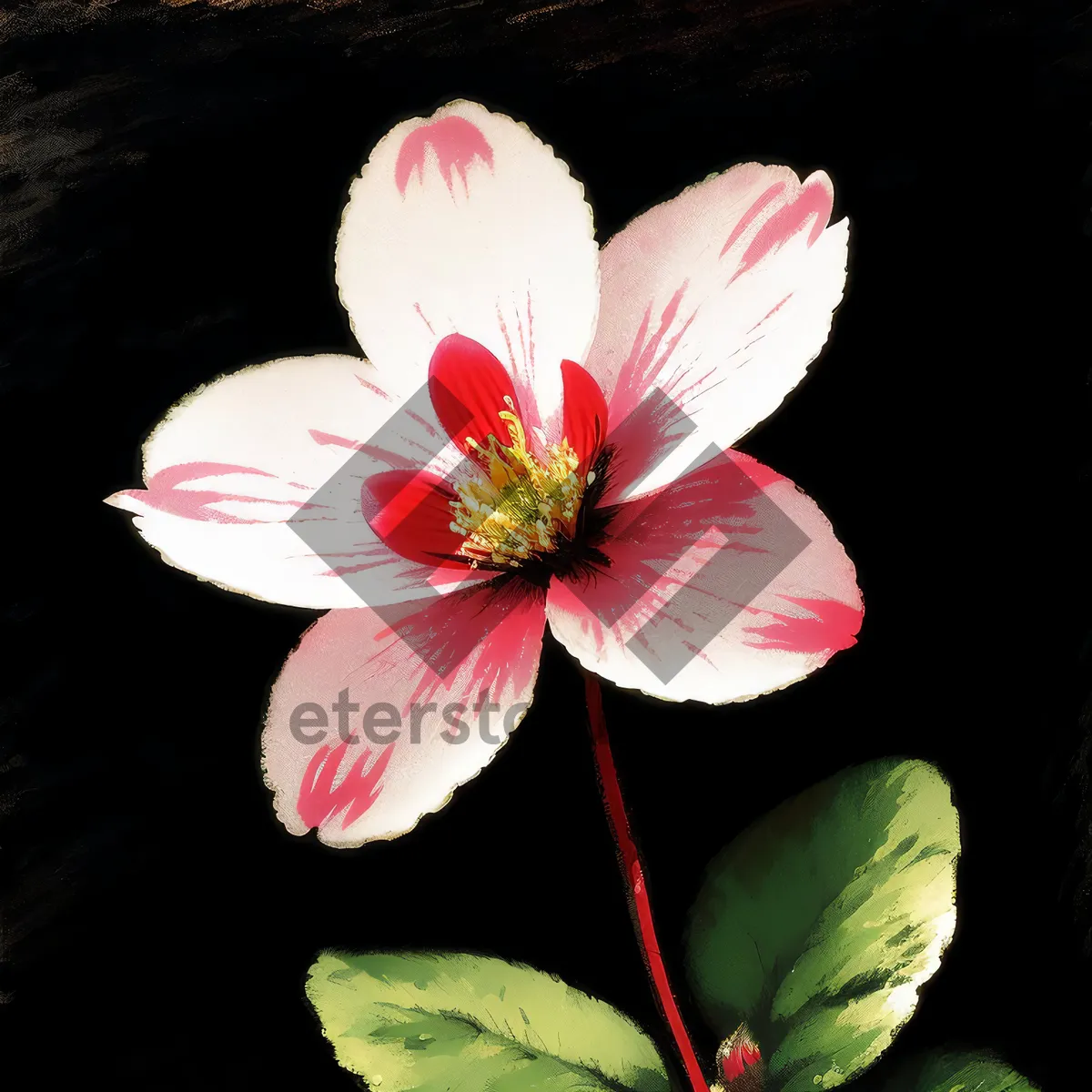 Picture of Vibrant Pink Blossom in Garden