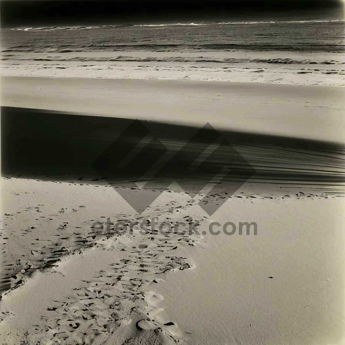 Picture of Grunge Brush on Ocean Beach