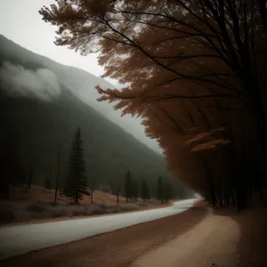 Winter Wonderland: Snowy Road Through Scenic Forest