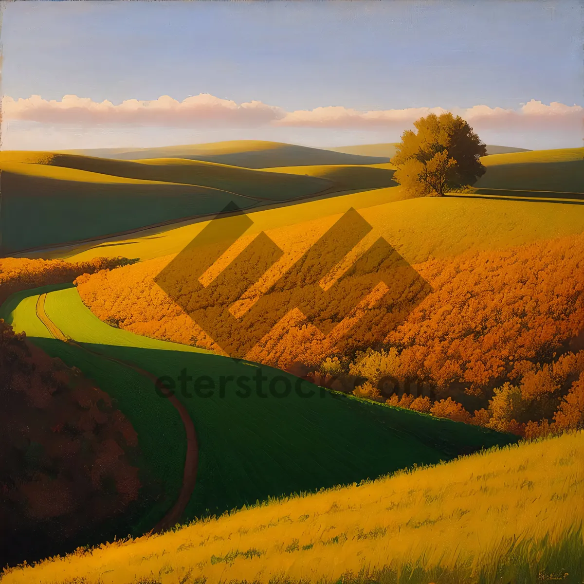 Picture of Sunlit Rapeseed Field in the Countryside