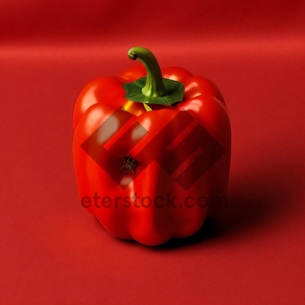 Picture of Colorful Bell Pepper and Tomato Salad with Fresh Vegetables