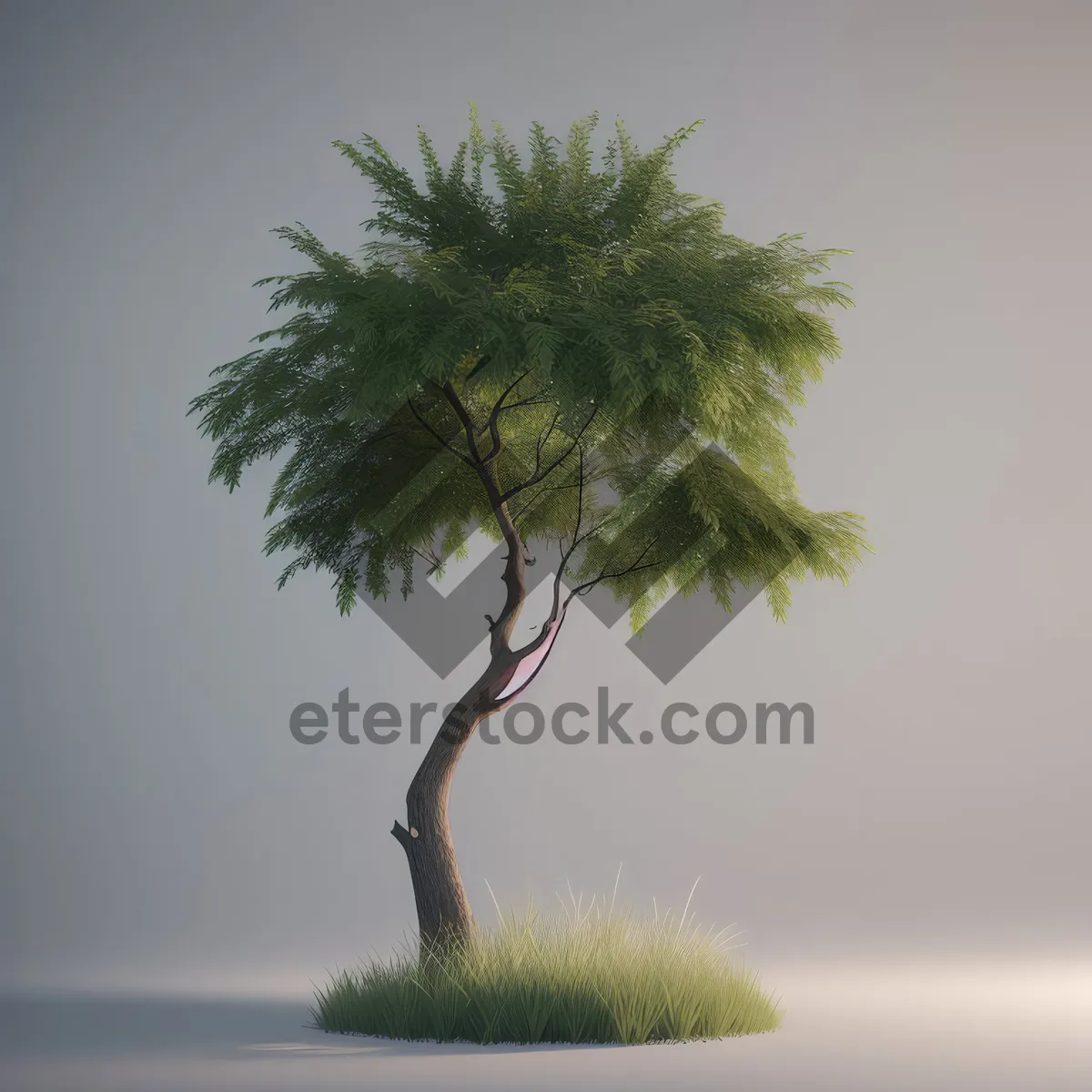 Picture of Tropical Bonsai Solitude by the Beach