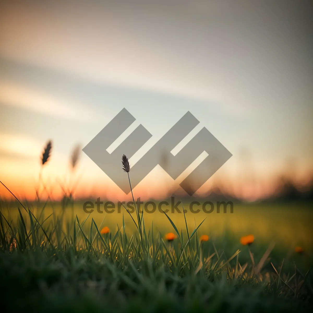 Picture of Sunny skies over picturesque countryside farm