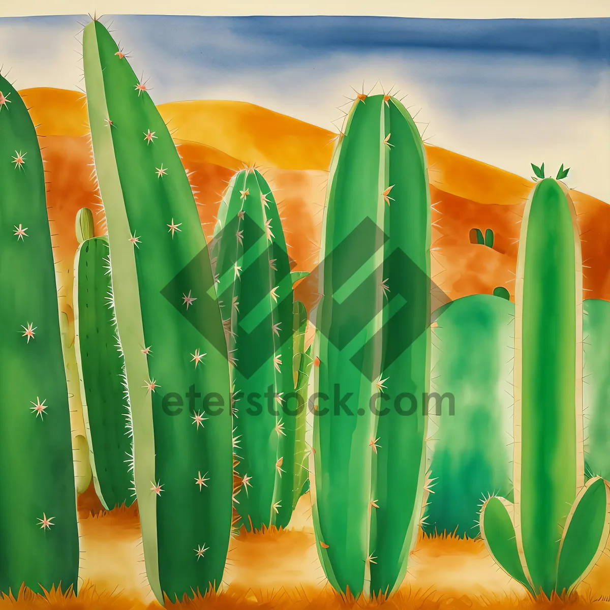 Picture of Colorful Pencil Cactus in Desert Landscape