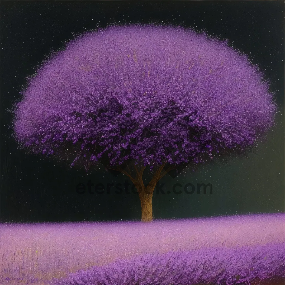 Picture of Lavender Field: Vibrant Purple Blossoms Illuminate the Garden