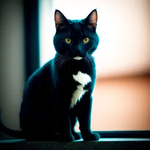 Curious Kitty with Striped Fur and Adorable Eyes